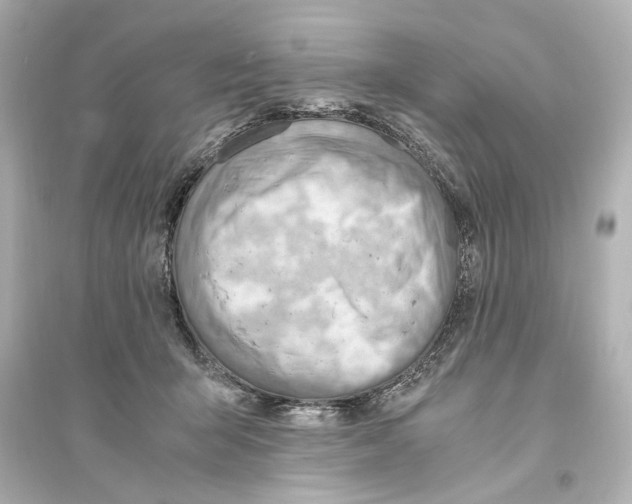 X0000093590415200711121129