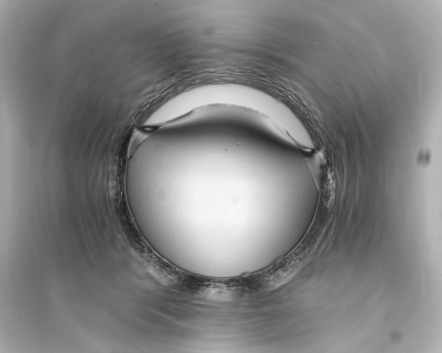 X0000093590416200711121129