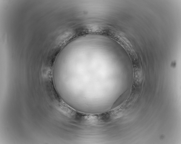 X0000093590419200711121129