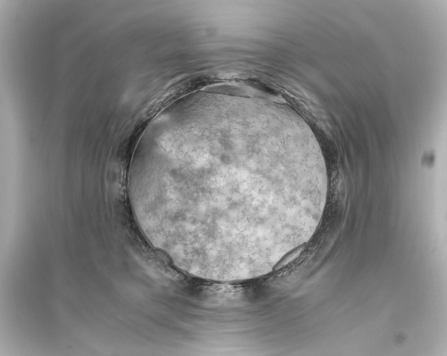 X0000093590421200711121129