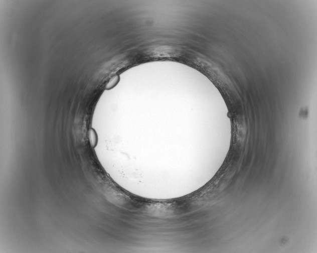 X0000093590422200711121129