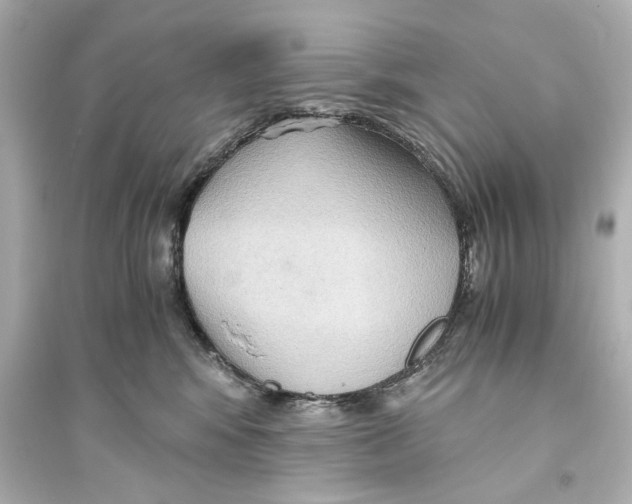 X0000093590424200711121129