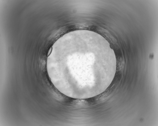 X0000093590427200711121129