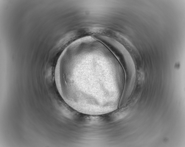 X0000093590428200711121129