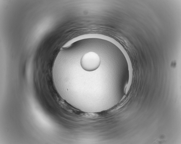 X0000093590429200711121129