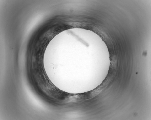 X0000093590430200711121129