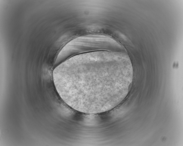 X0000093590432200711121129