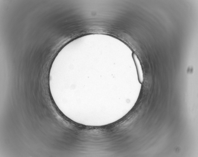 X0000093590433200711121128