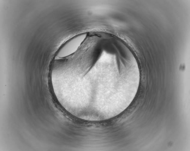 X0000093590434200711121128