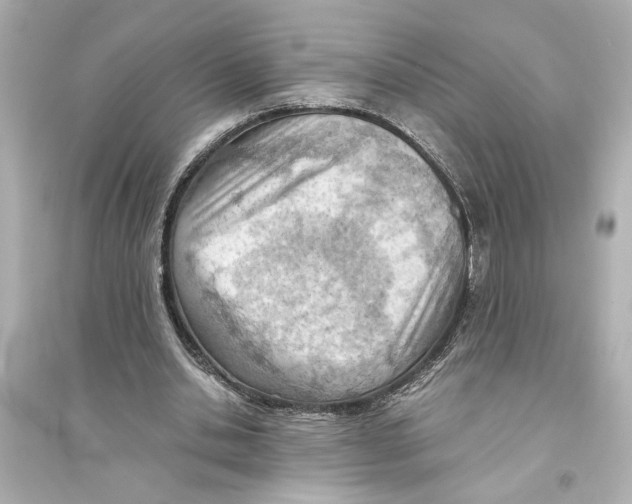 X0000093590438200711121128