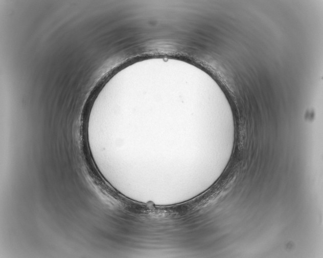 X0000093590439200711121128