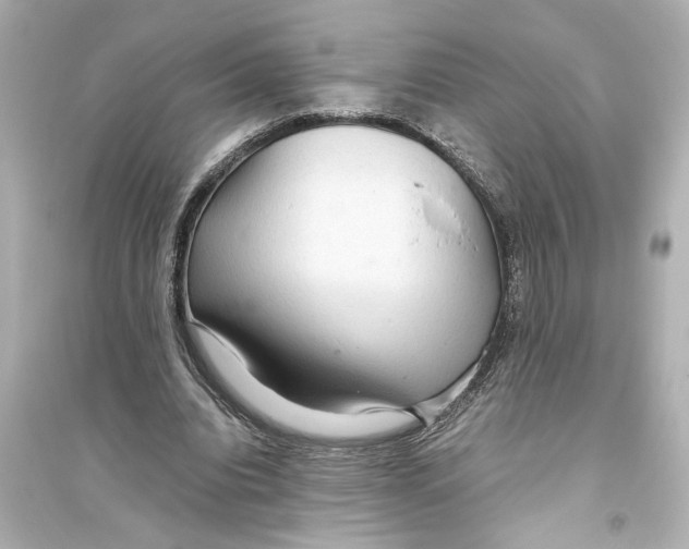 X0000093590440200711121128