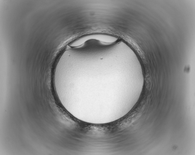 X0000093590442200711121128