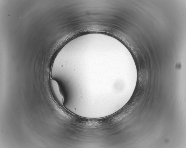 X0000093590445200711121128
