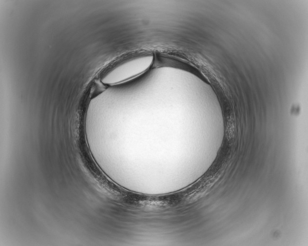 X0000093590448200711121128