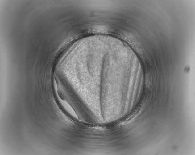 X0000093590449200711121128