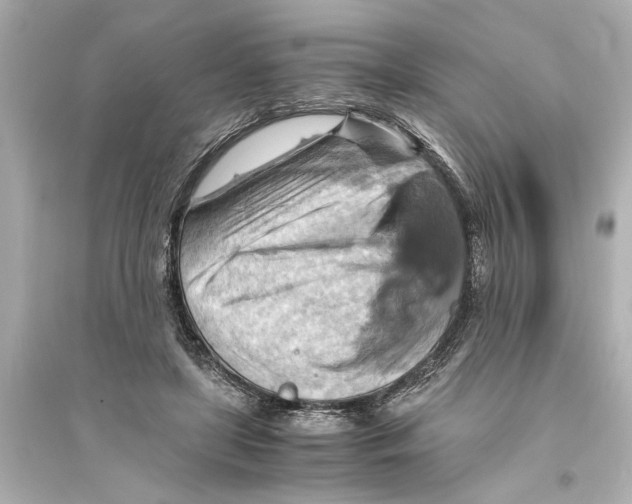 X0000093590451200711121128