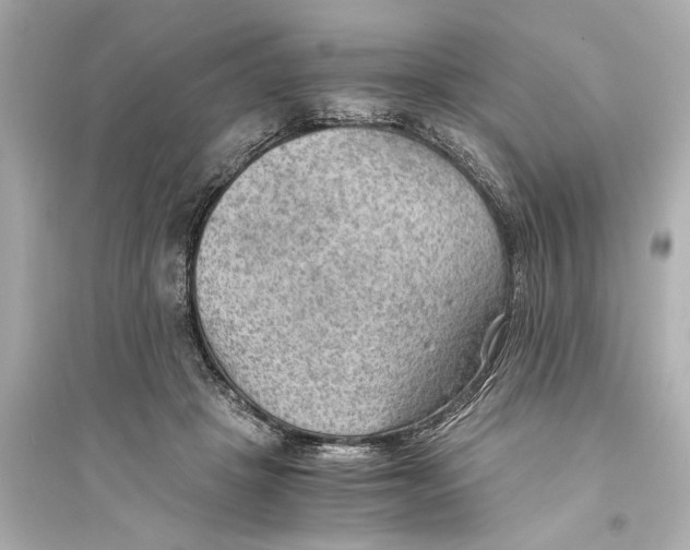 X0000093590457200711121128