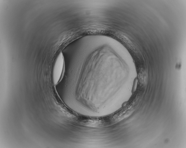 X0000093590458200711121128