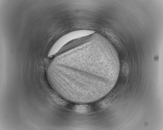 X0000093590461200711121129