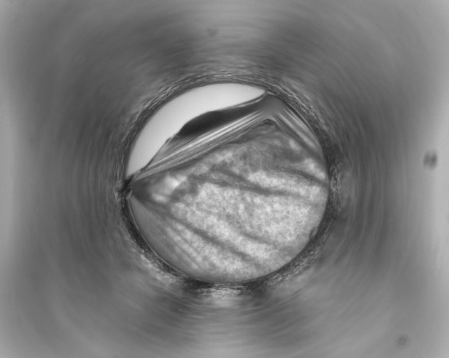 X0000093590462200711121129