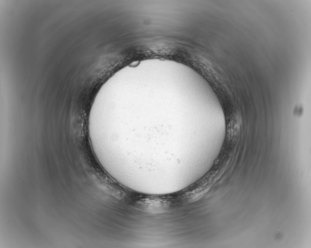 X0000093590464200711121129