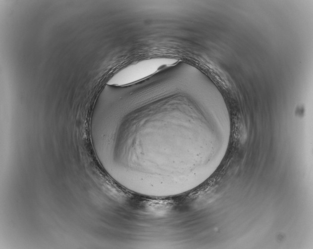 X0000093590465200711121129