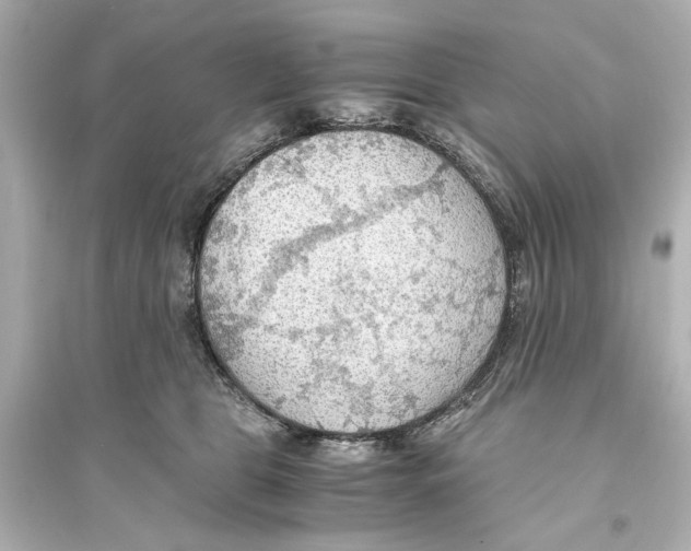 X0000093590469200711121129