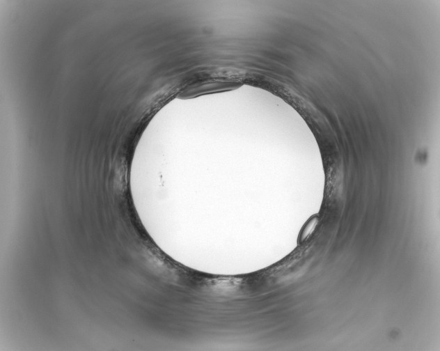 X0000093590474200711121129