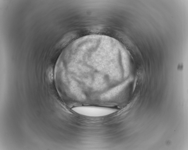 X0000093590479200711121129