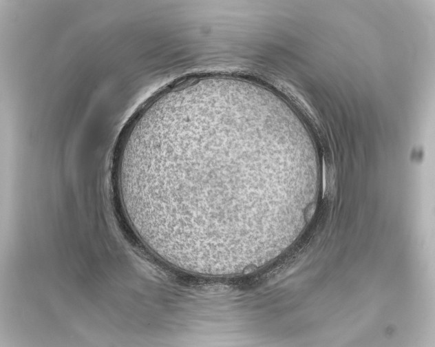 X0000093590483200711121128