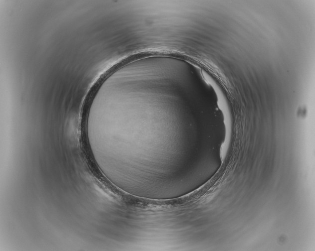 X0000093590484200711121128