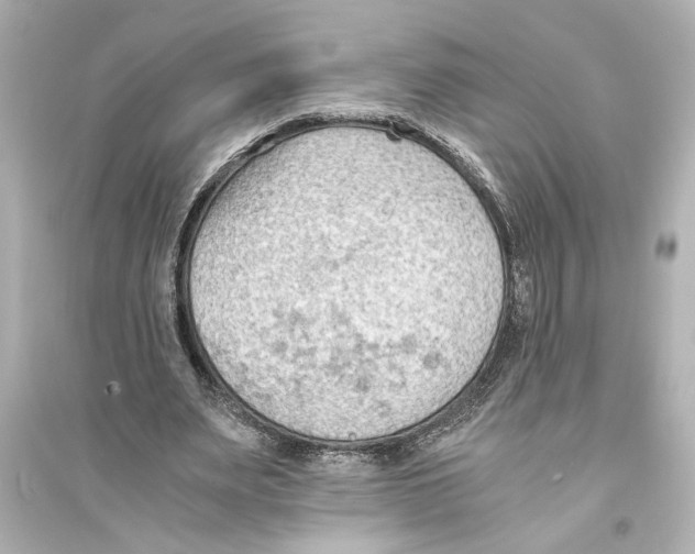 X0000093590487200711121128