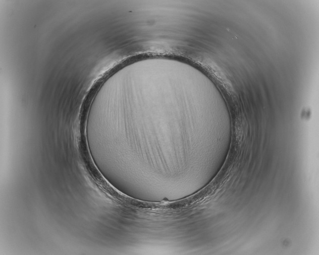 X0000093590488200711121128