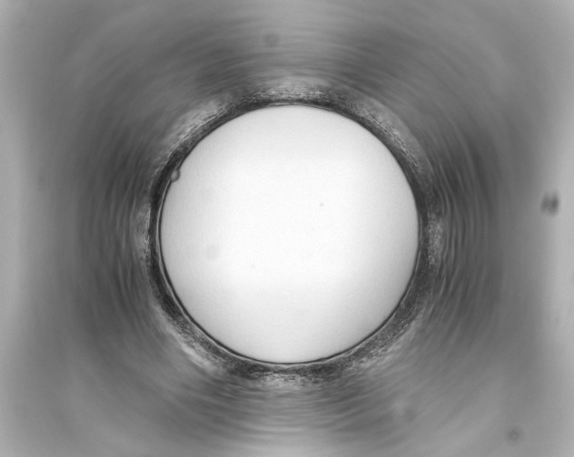 X0000093590490200711121128