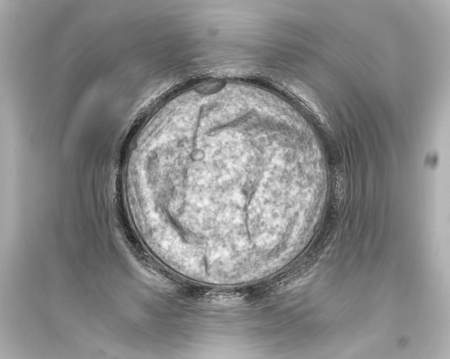 X0000093590491200711121128