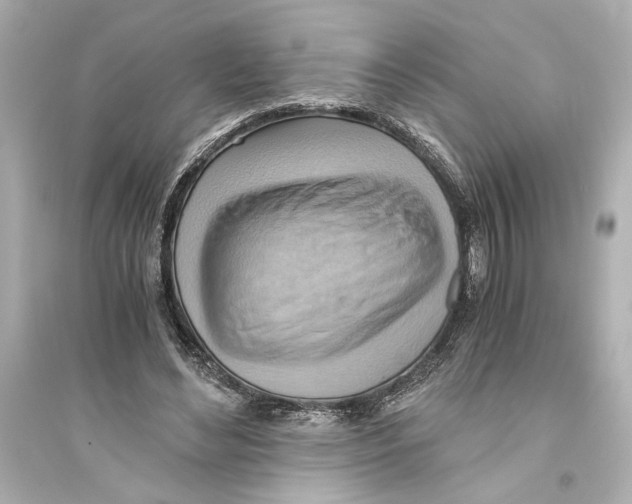 X0000093590492200711121128