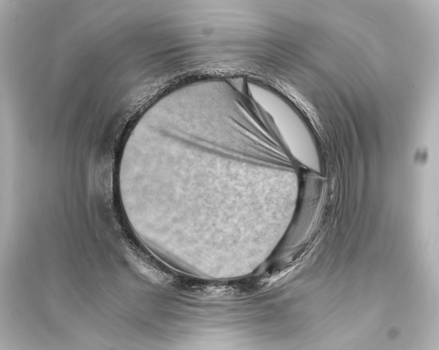 X0000093590493200711121128