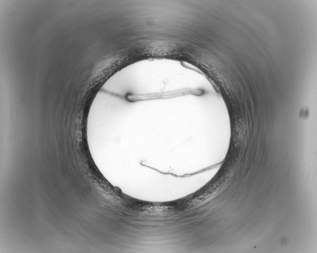 X0000093590497200711121128