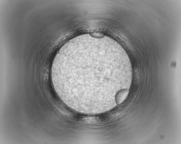 X0000093590499200711121128