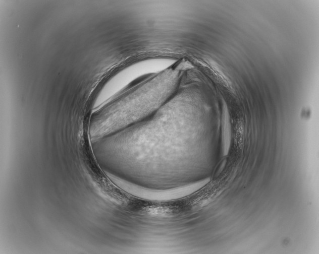 X0000093590500200711121128