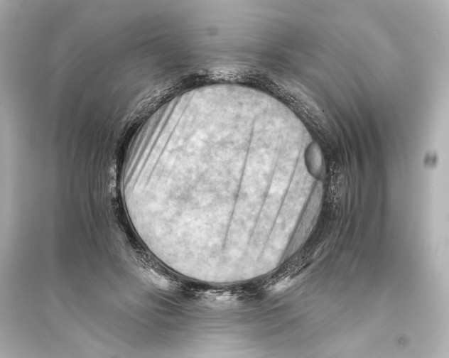 X0000093590502200711121128