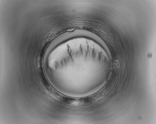 X0000093590504200711121128