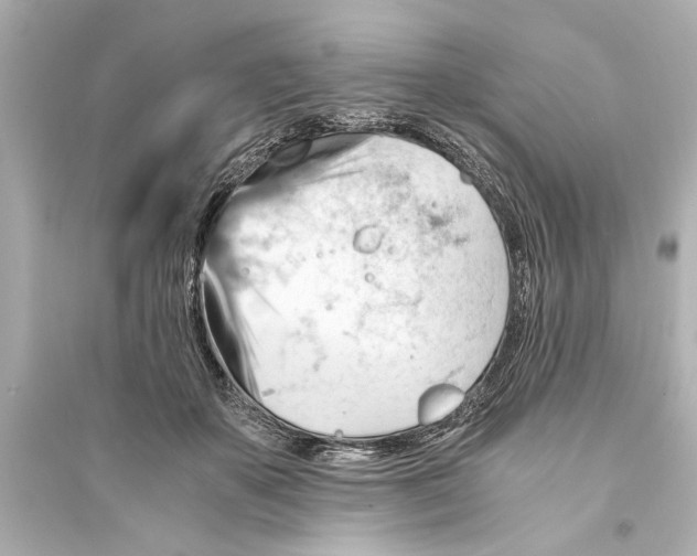 X0000093590507200711121128