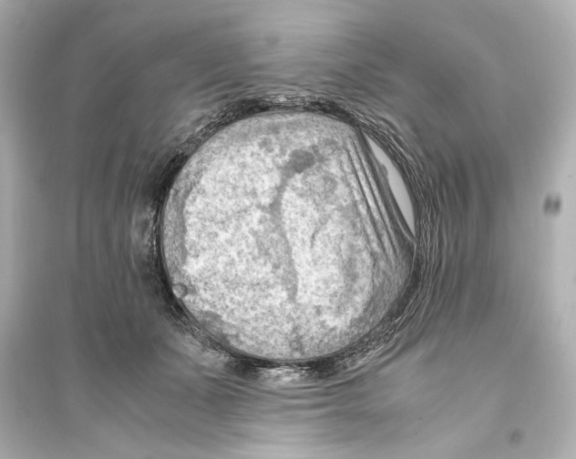 X0000093590511200711121128