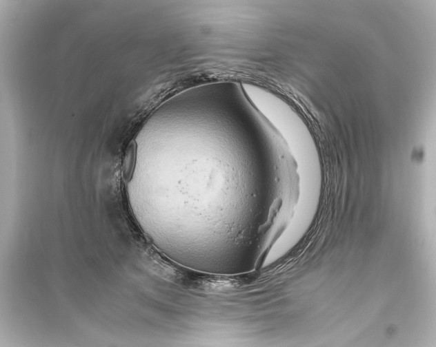 X0000093590513200711121128