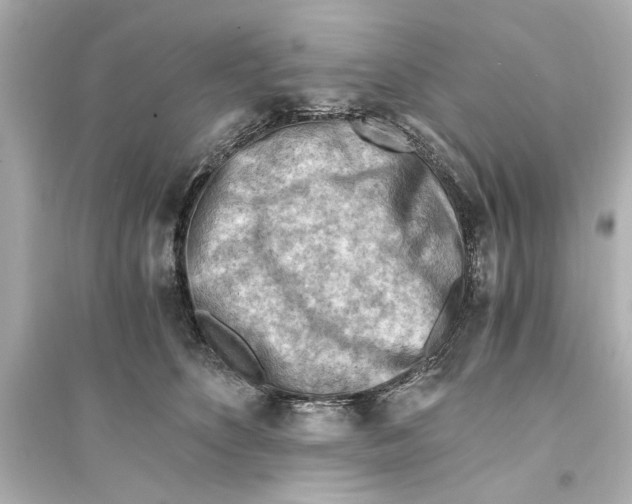 X0000093590516200711121128