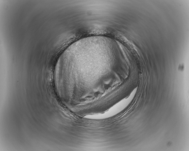 X0000093590517200711121128