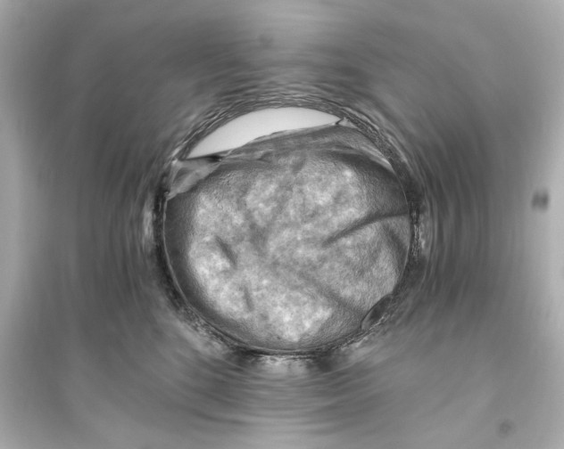 X0000093590520200711121128