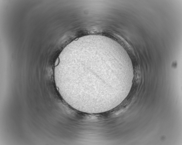 X0000093590523200711121128